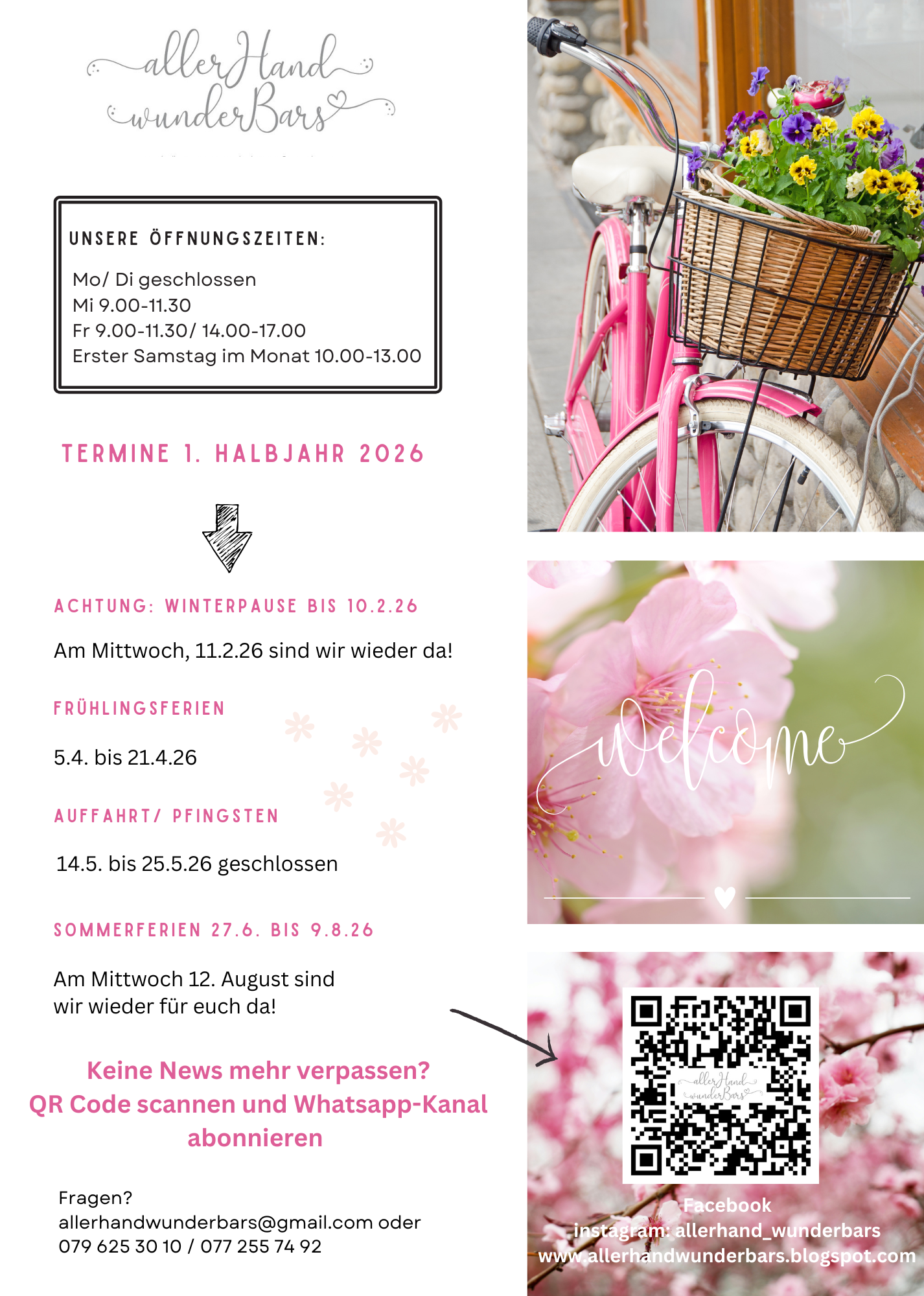 Einblick in unseren Laden